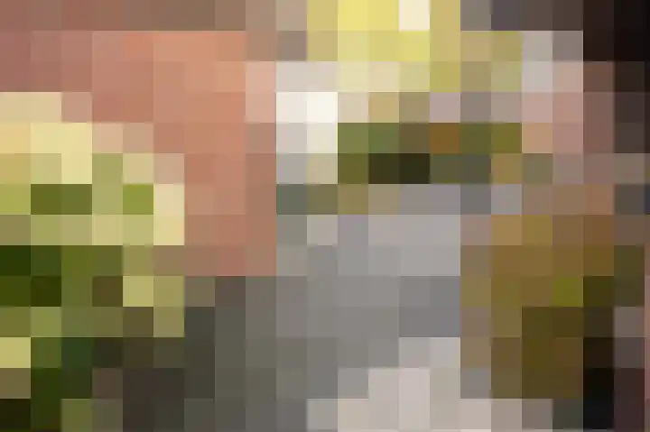 Kloosterstraat 12 Susteren thumbnail 28