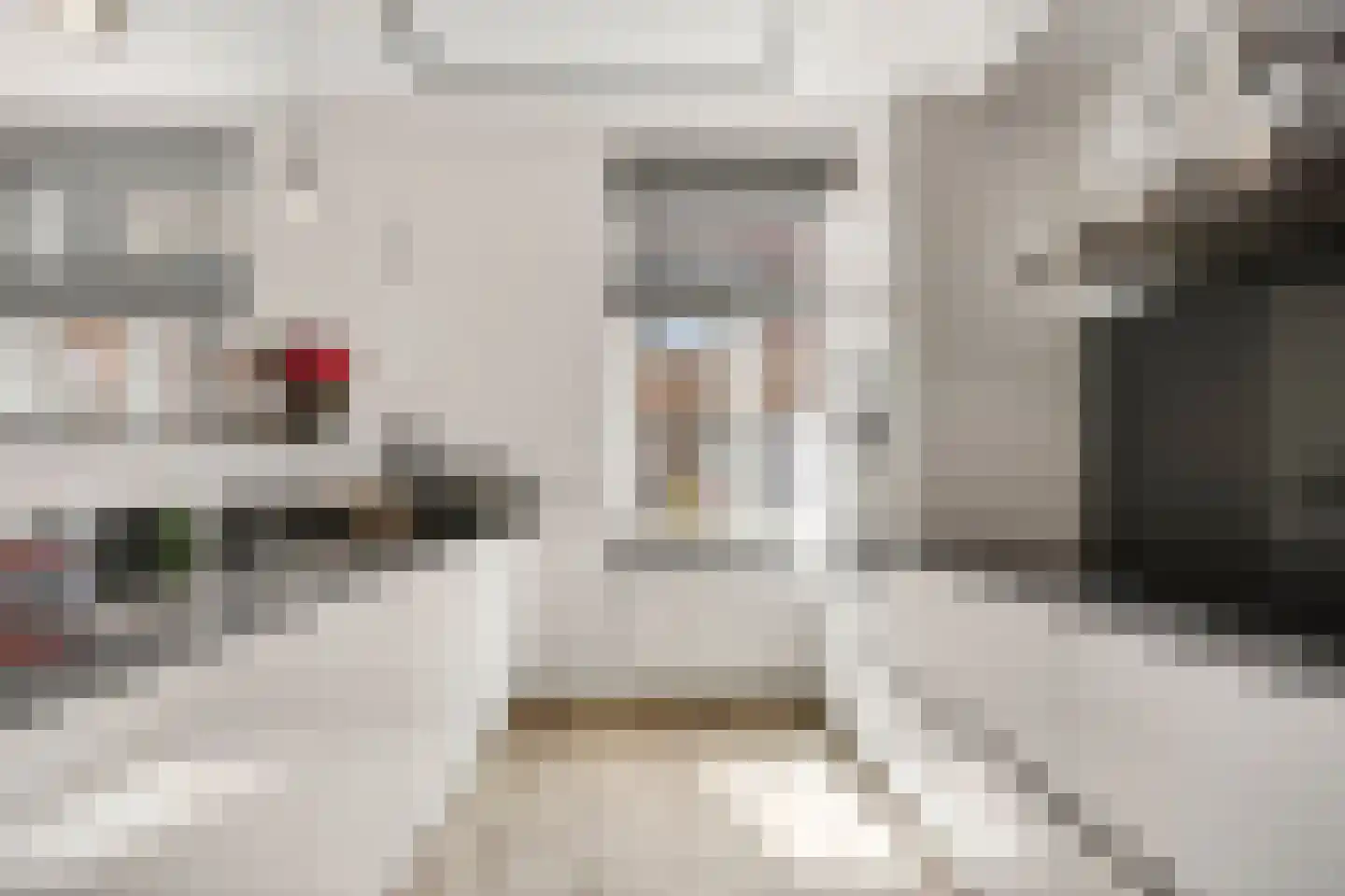 Kloosterstraat 13 Ootmarsum thumbnail 18