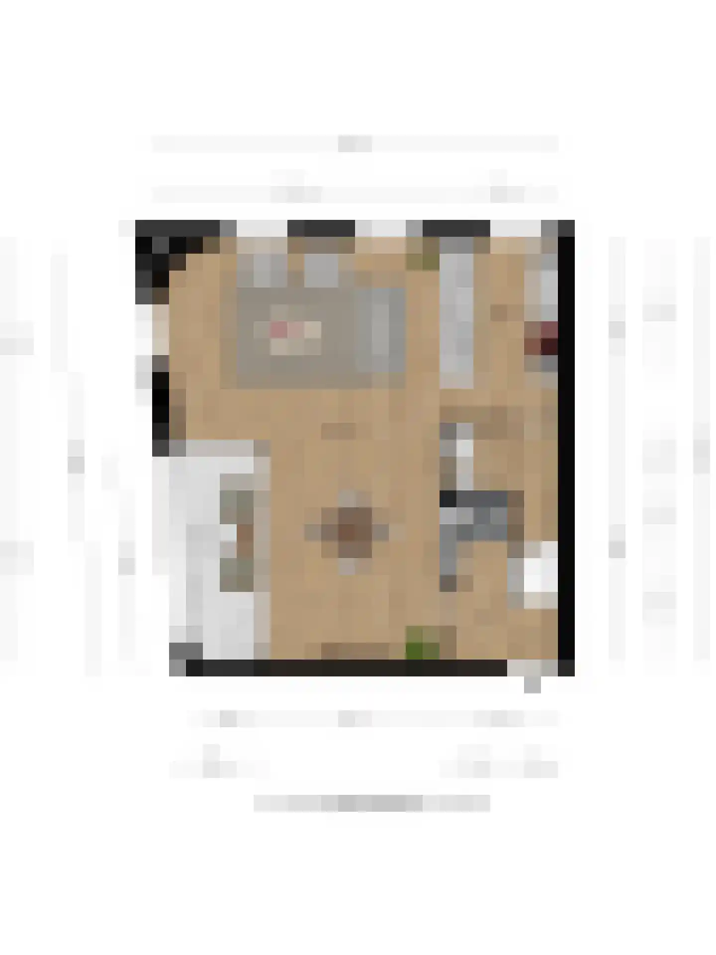 Kloosterstraat 13 Ootmarsum thumbnail 44