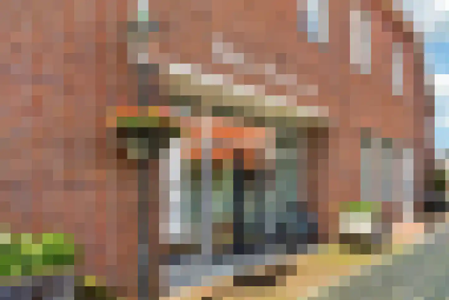 Kloosterstraat 13 Ootmarsum thumbnail 6