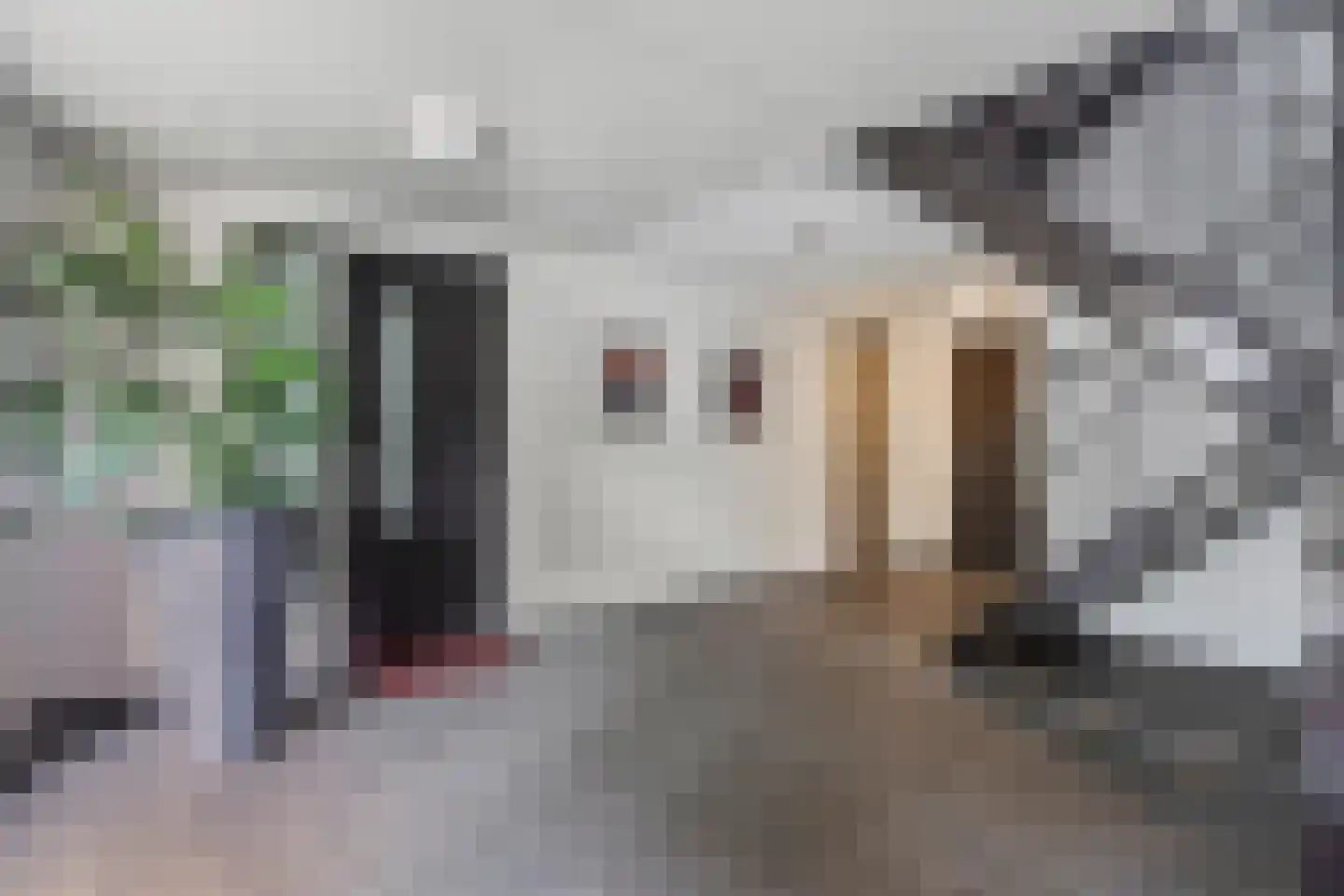 Kloosterstraat 134 D Oirschot thumbnail 10