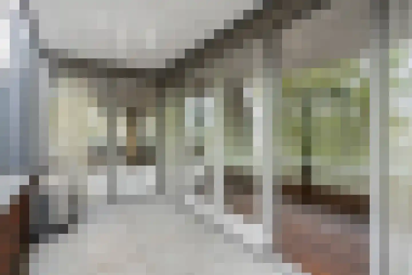 Kloosterstraat 134 D Oirschot thumbnail 32