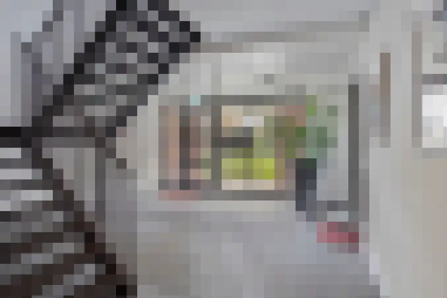 Kloosterstraat 134 D Oirschot thumbnail 9