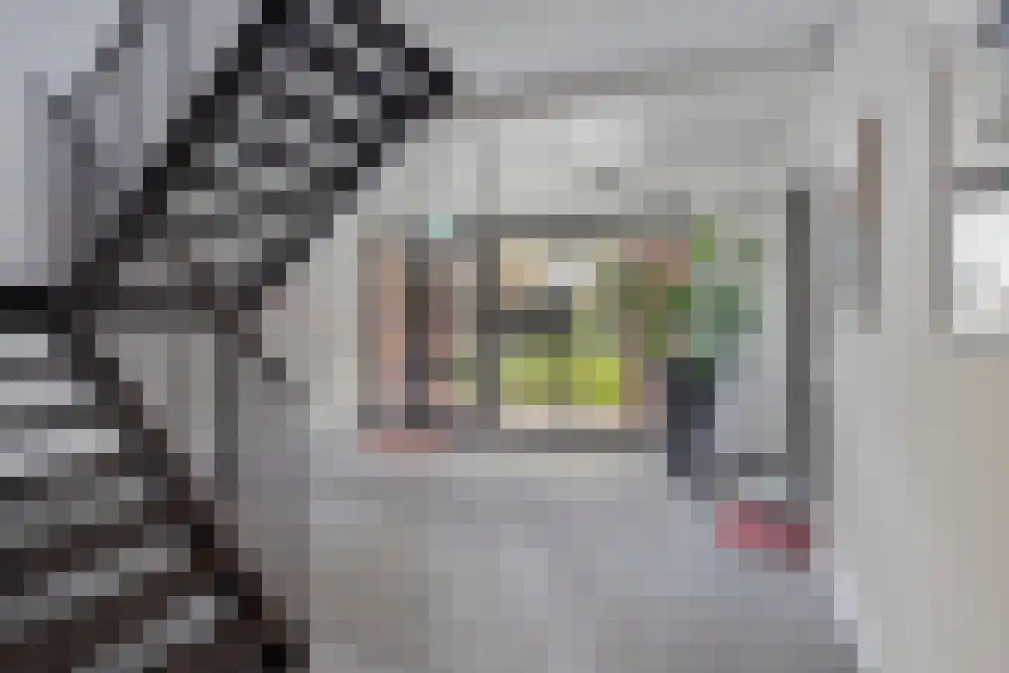 Kloosterstraat 134 D Oirschot thumbnail 9