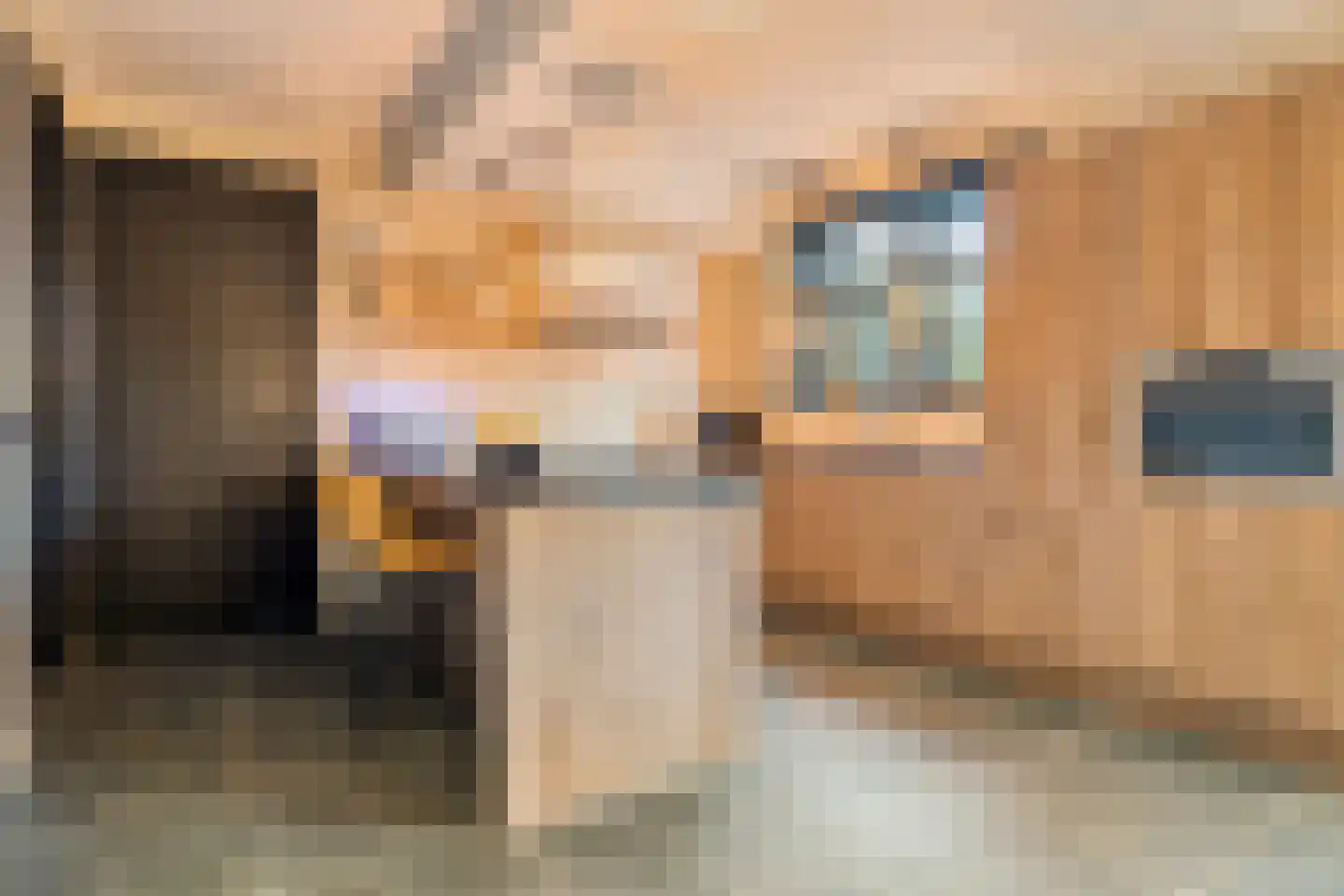 Kloosterstraat 14 d Biervliet thumbnail 13