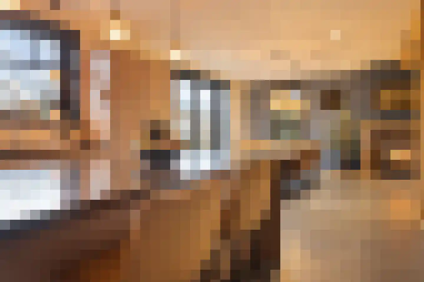 Kloosterstraat 14 d Biervliet thumbnail 16