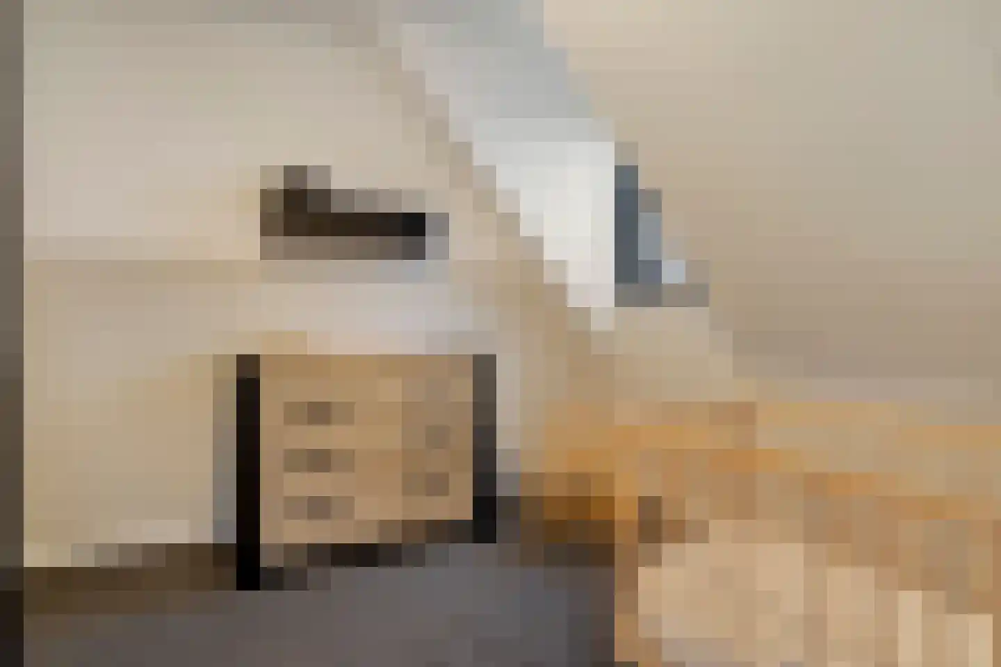 Kloosterstraat 14 d Biervliet thumbnail 31