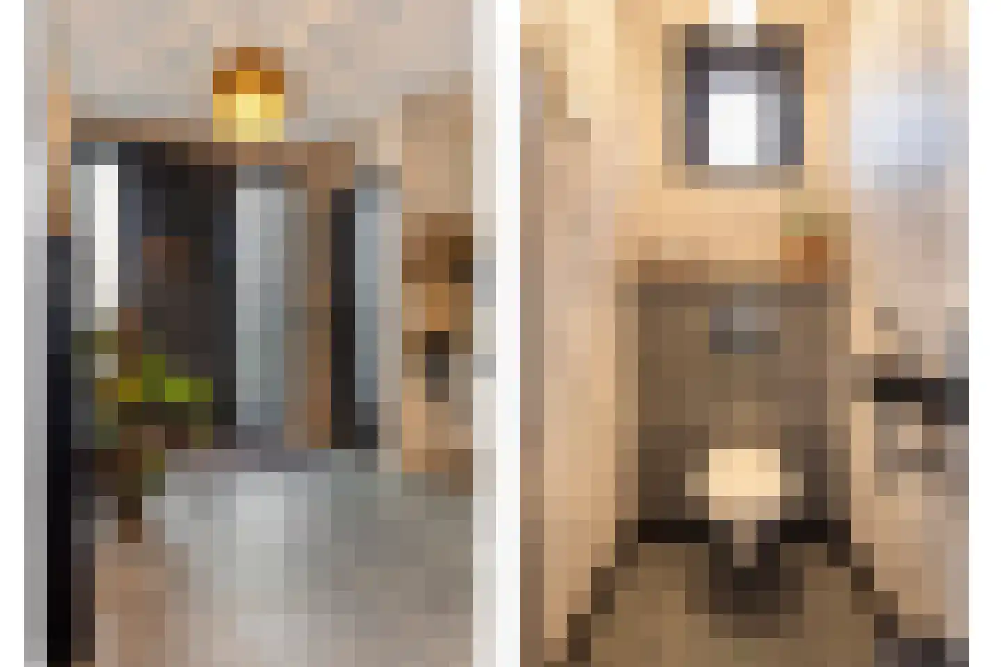Kloosterstraat 14 d Biervliet thumbnail 4