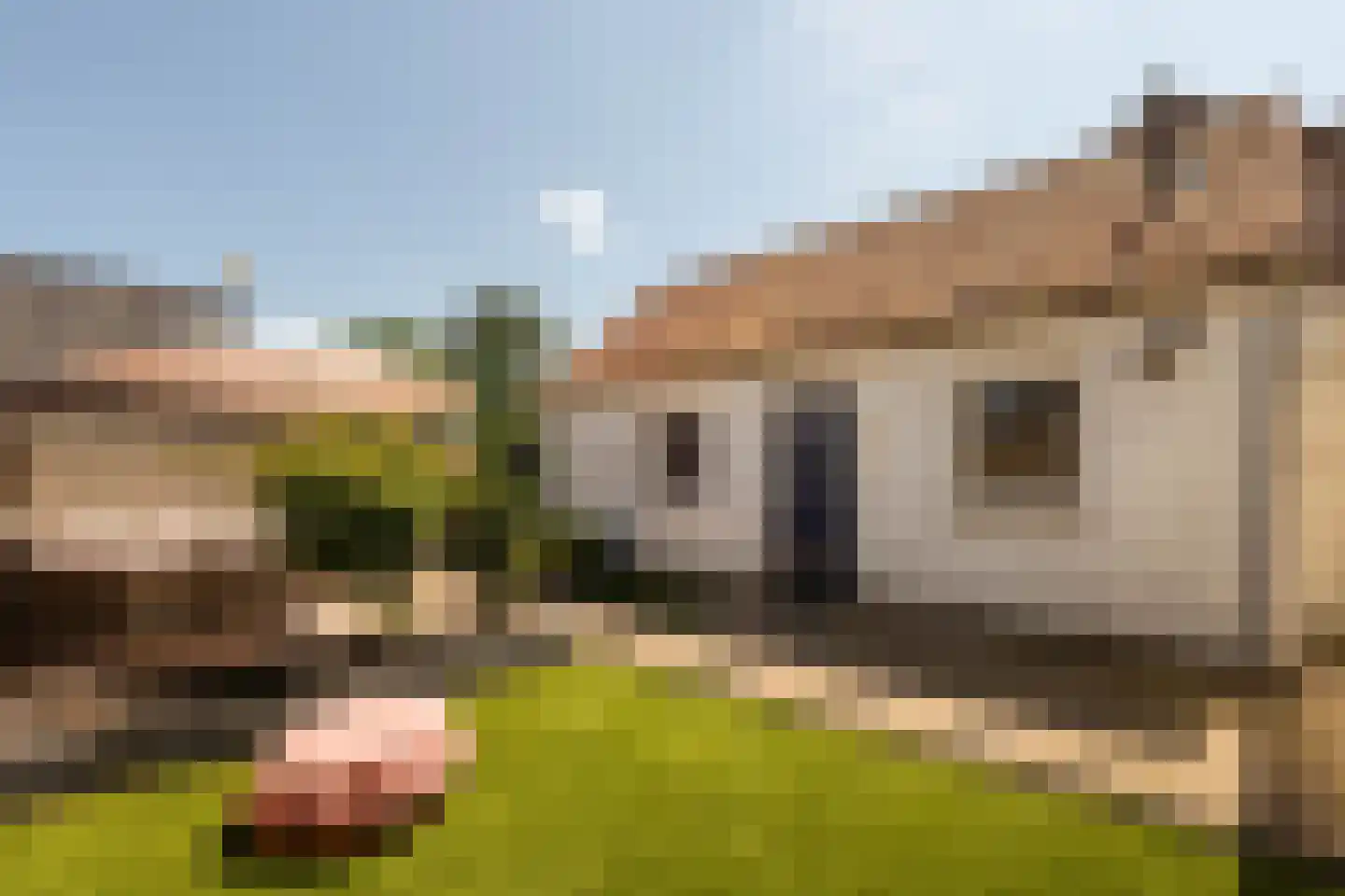 Kloosterstraat 14 Hoogerheide thumbnail 37