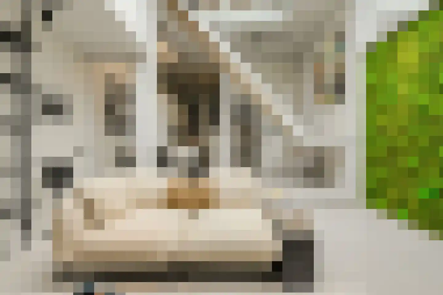Kloosterstraat 16 Oosterhout thumbnail 17