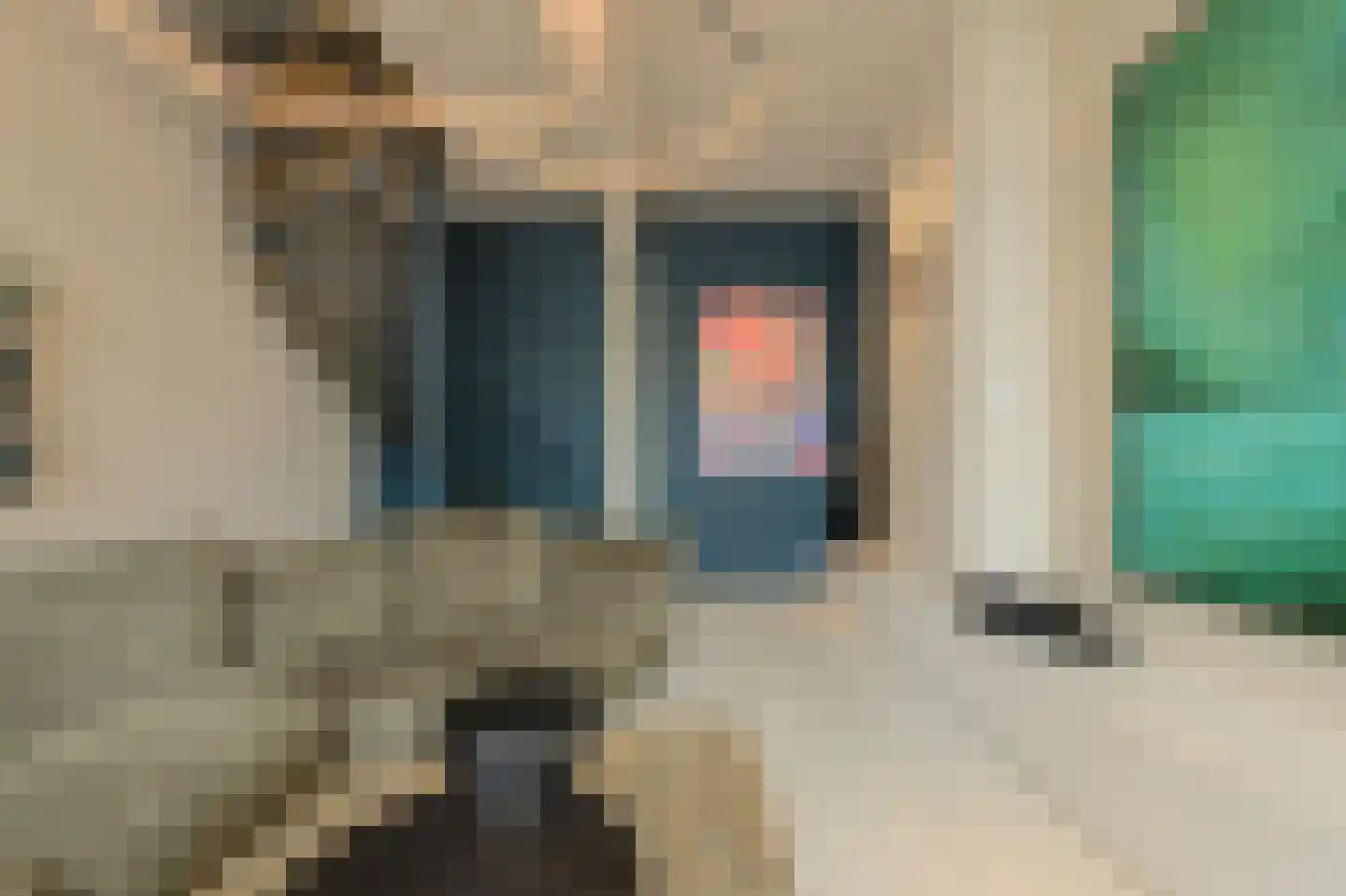 Kloosterstraat 16 Oosterhout thumbnail 5