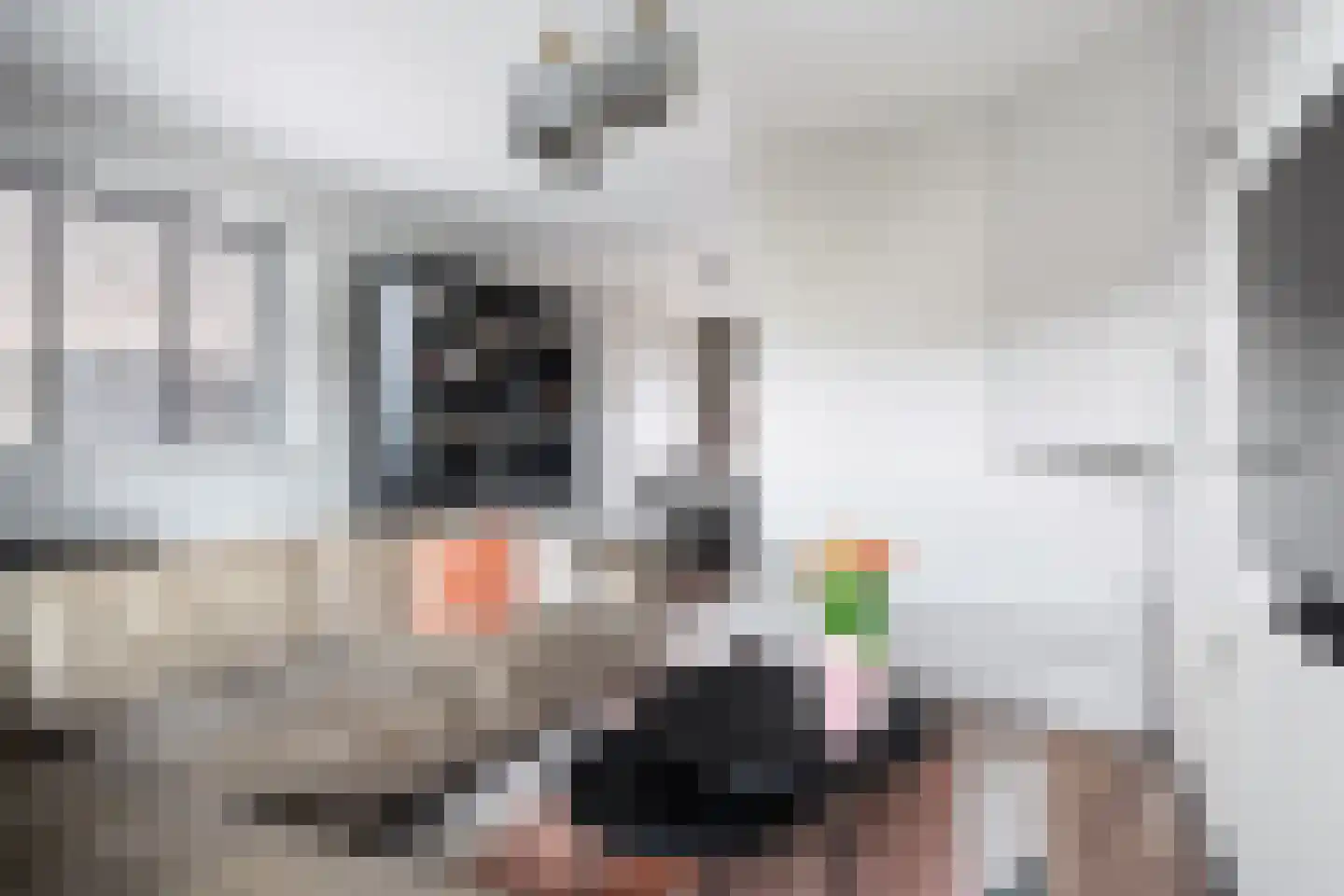 Kloosterstraat 17 Ten Boer thumbnail 11