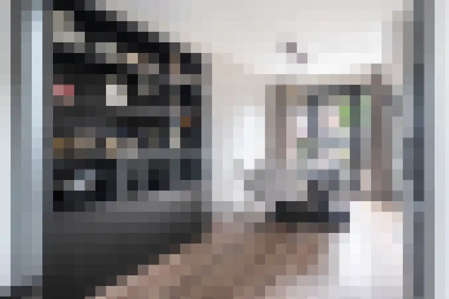 Kloosterstraat 17 Ten Boer thumbnail 12