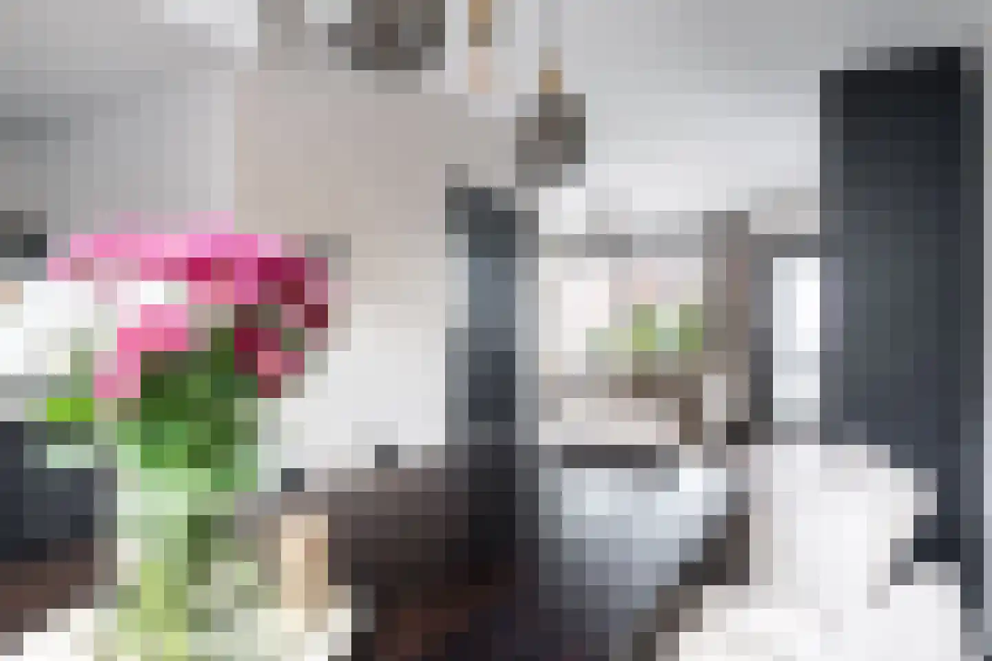 Kloosterstraat 17 Ten Boer thumbnail 13