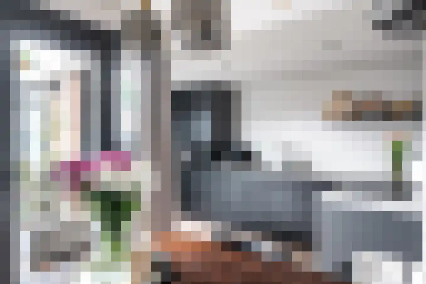 Kloosterstraat 17 Ten Boer thumbnail 14