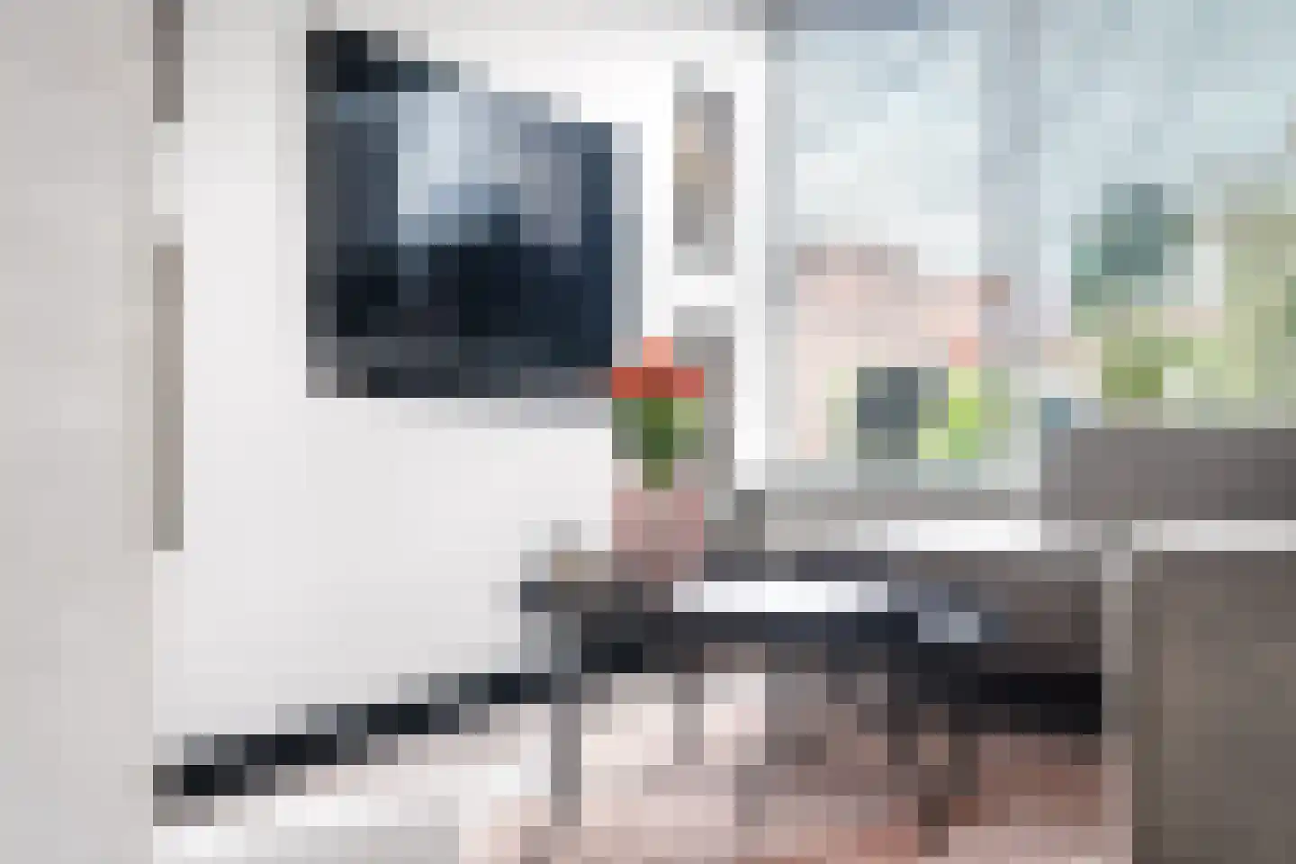 Kloosterstraat 17 Ten Boer thumbnail 19