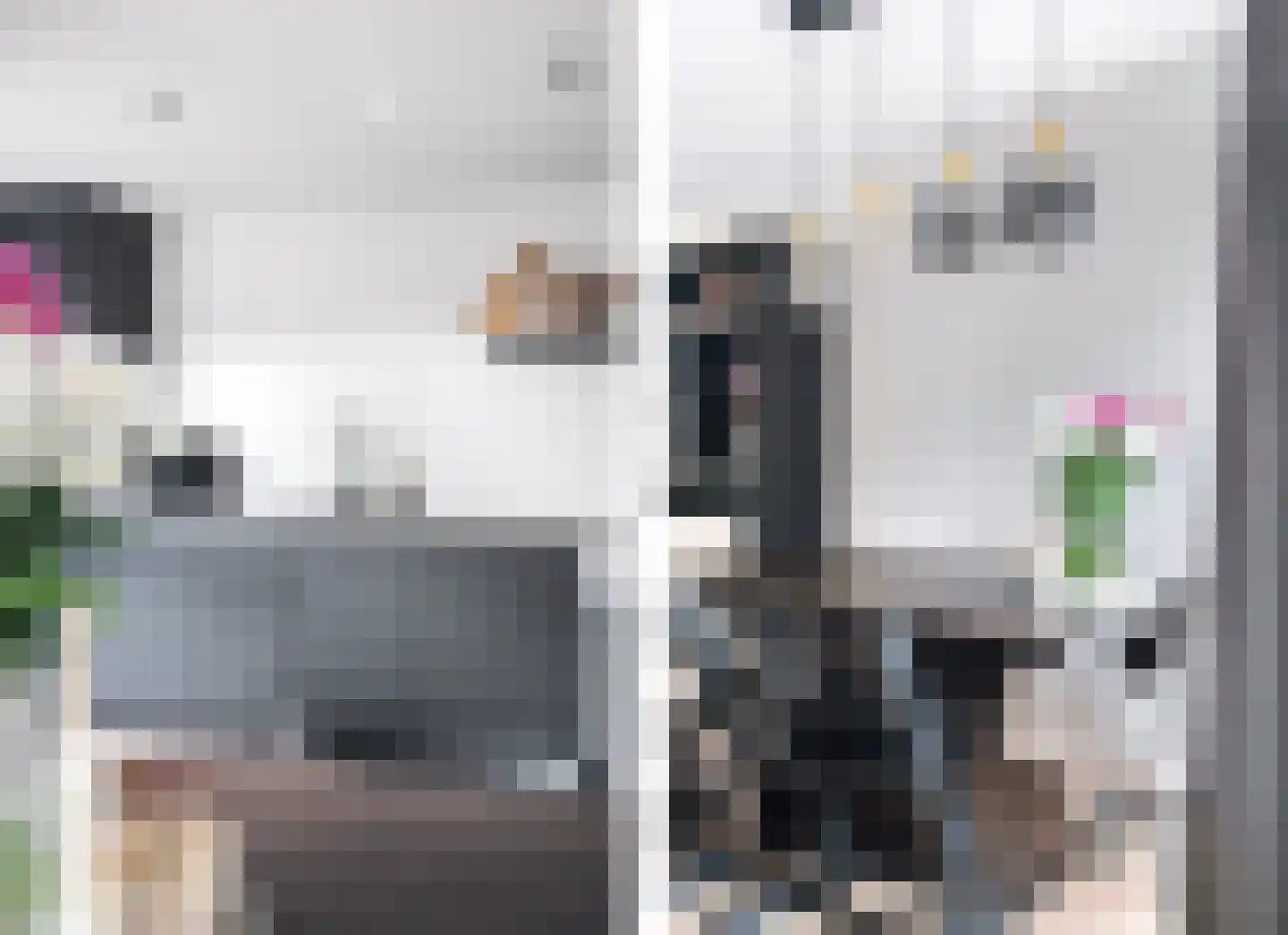 Kloosterstraat 17 Ten Boer thumbnail 23