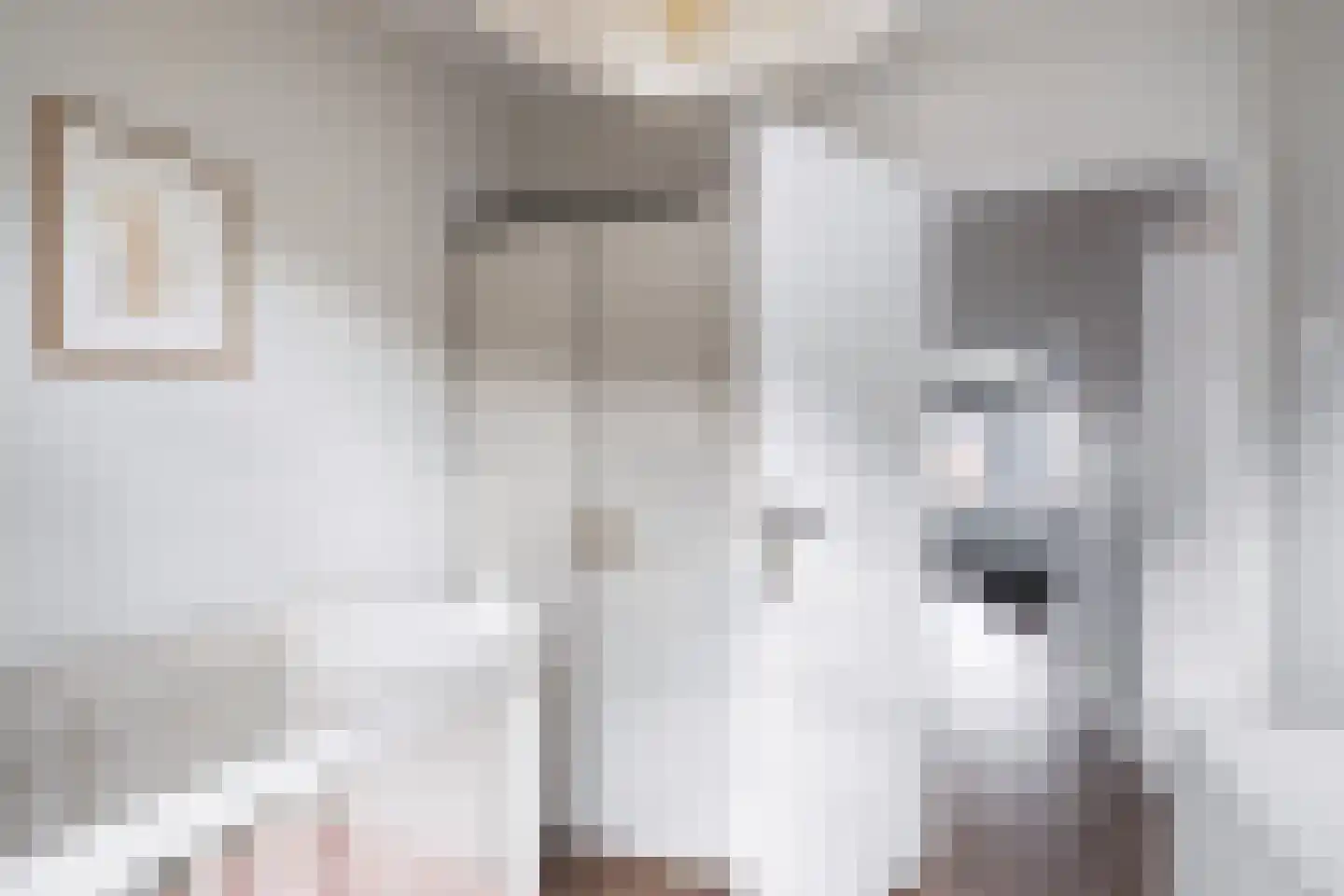 Kloosterstraat 17 Ten Boer thumbnail 33