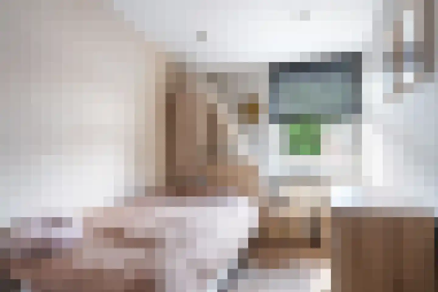Kloosterstraat 17 Ten Boer thumbnail 34