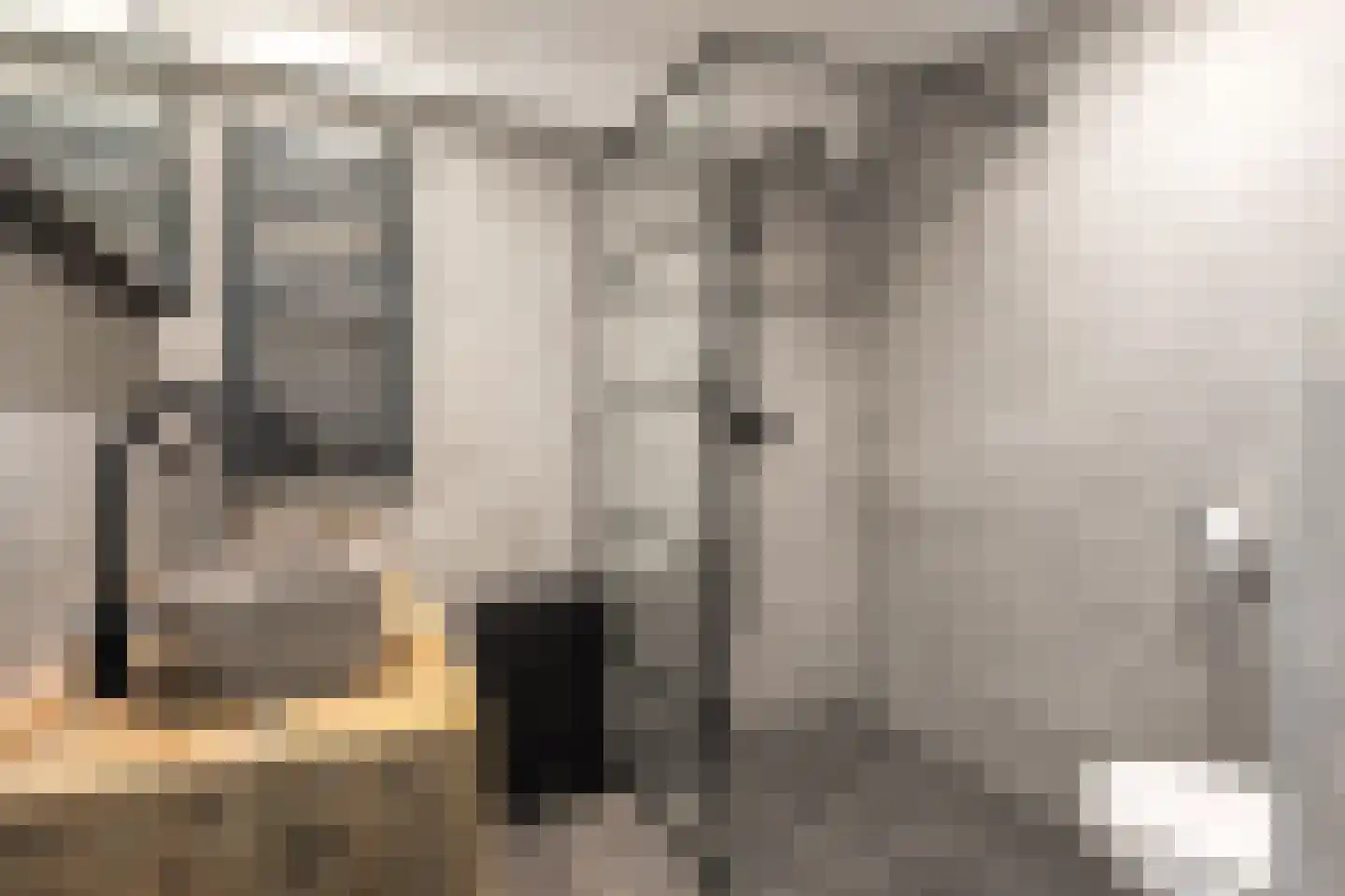 Kloosterstraat 17 Ten Boer thumbnail 36