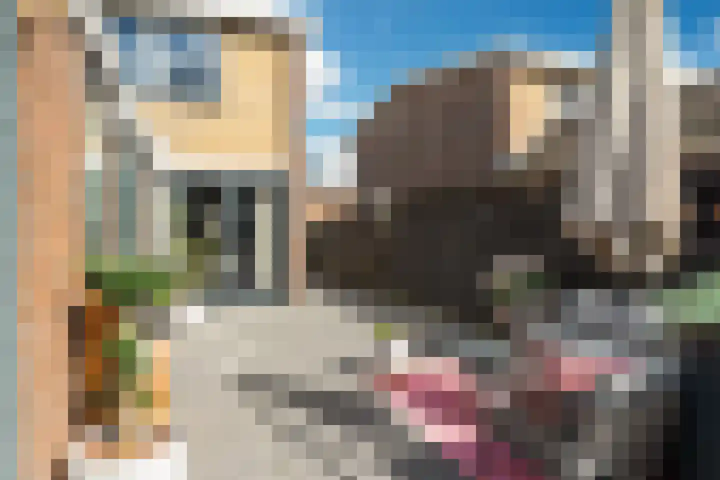 Kloosterstraat 17 Ten Boer thumbnail 41