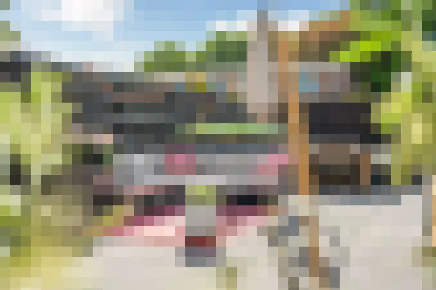 Kloosterstraat 17 Ten Boer thumbnail 45