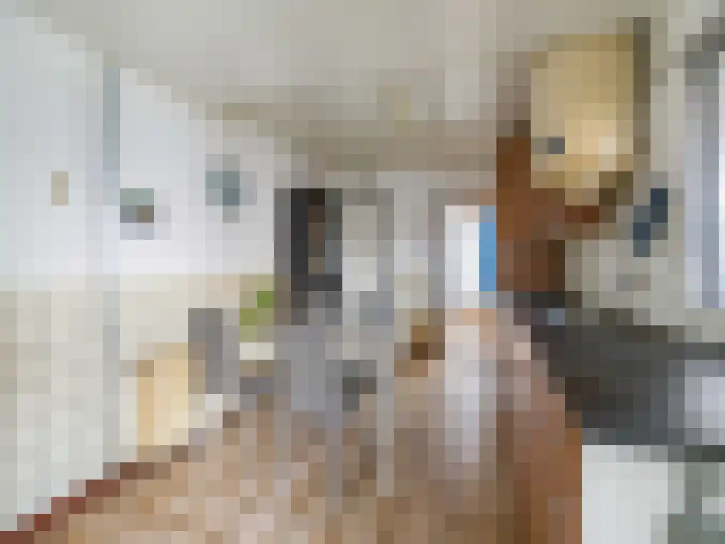 Kloosterstraat 18 Bavel thumbnail 10