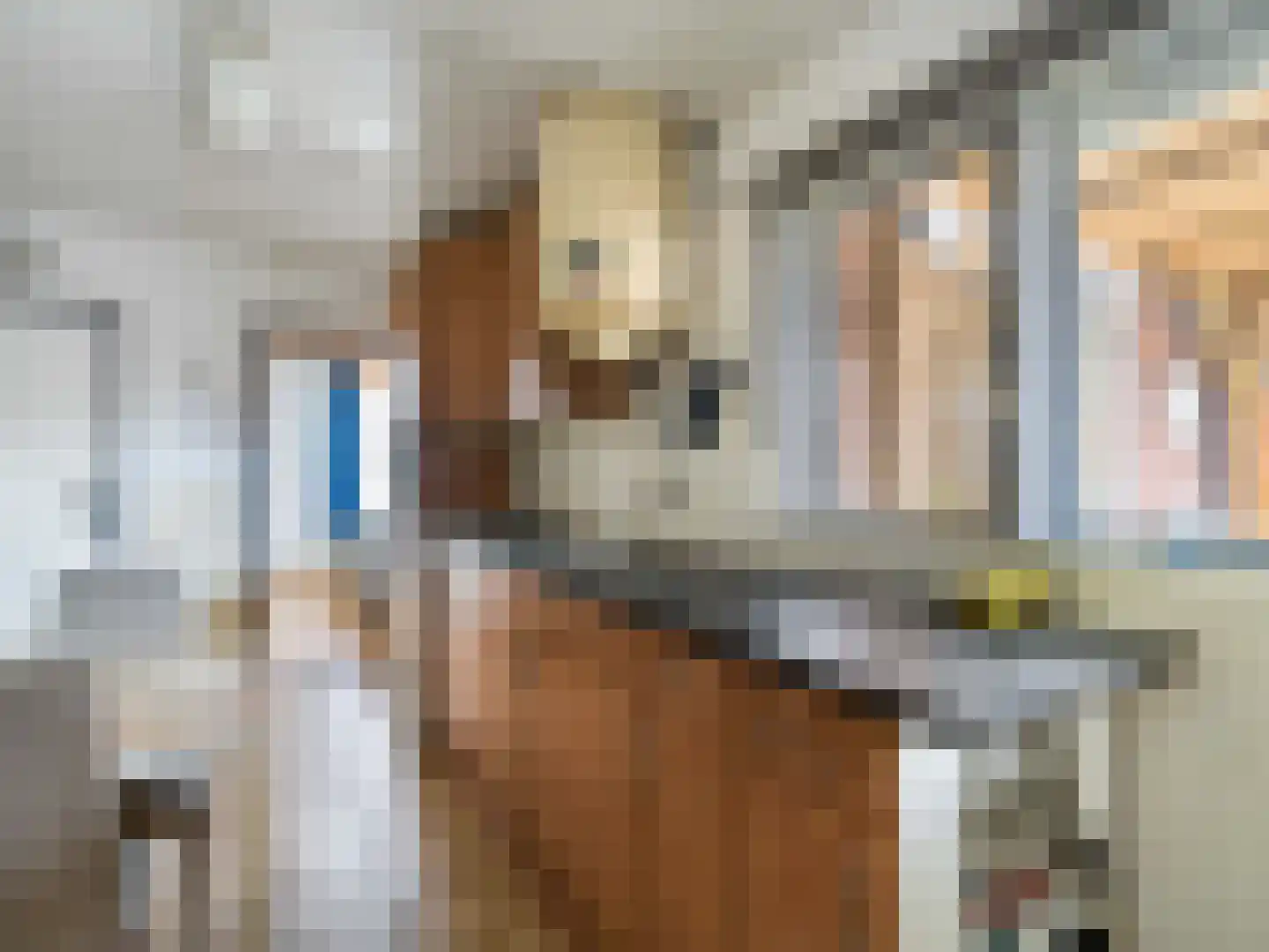 Kloosterstraat 18 Bavel thumbnail 11