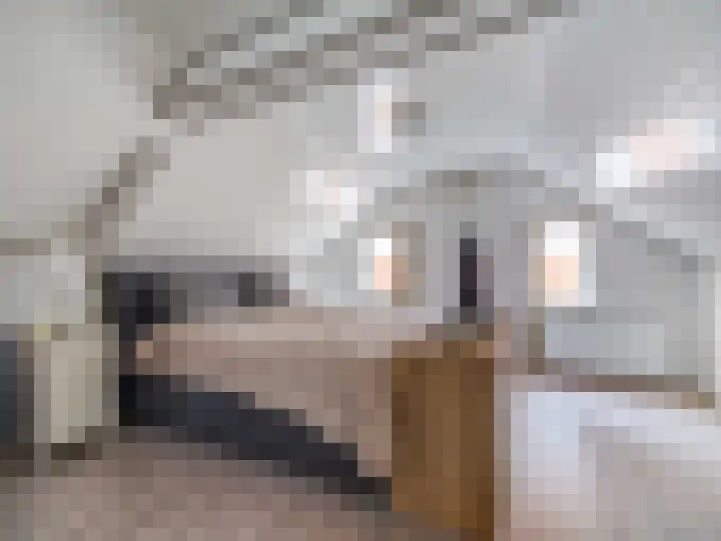 Kloosterstraat 18 Bavel thumbnail 16