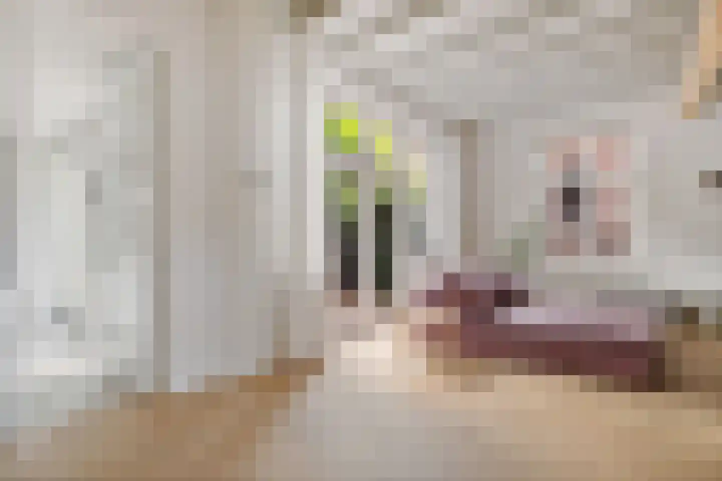 Kloosterstraat 18 Megen thumbnail 13