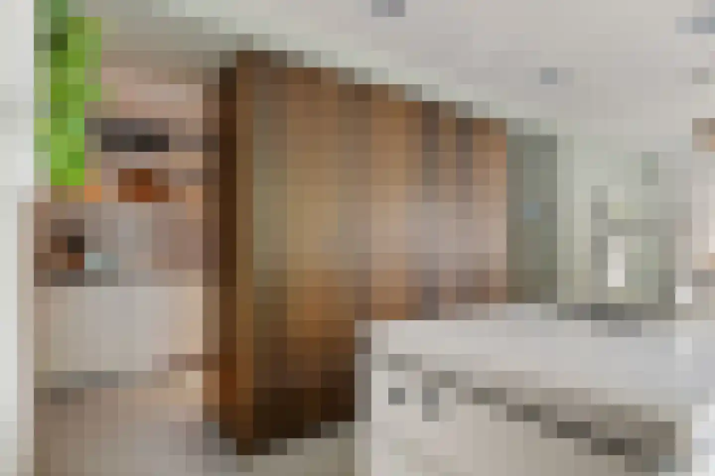 Kloosterstraat 18 Megen thumbnail 18
