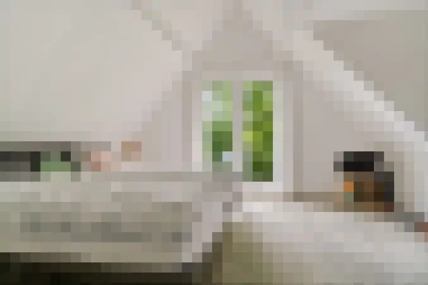 Kloosterstraat 18 Megen thumbnail 36