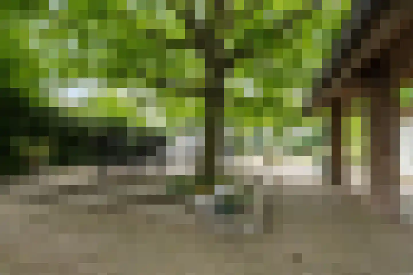 Kloosterstraat 18 Megen thumbnail 41