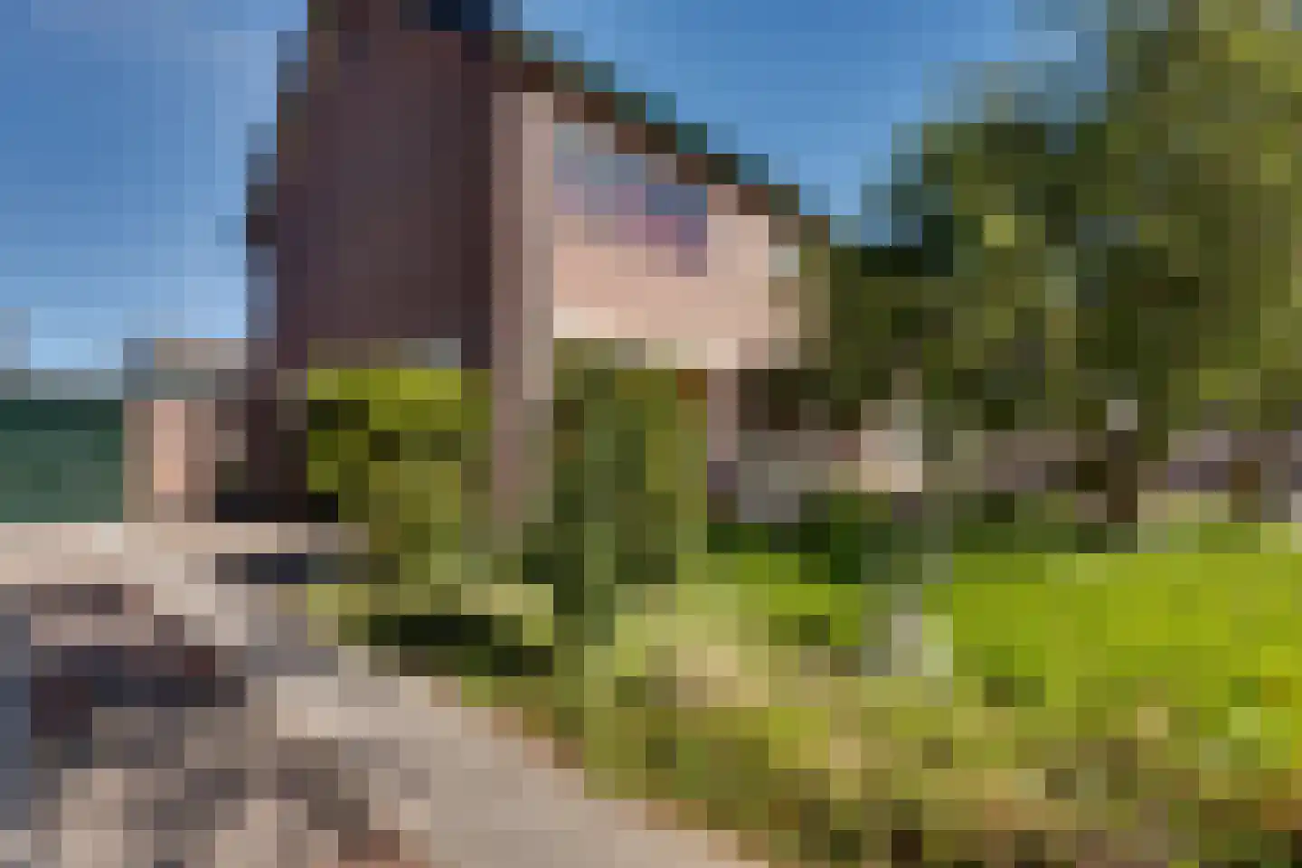 Kloosterstraat 19 Surhuisterveen thumbnail 38