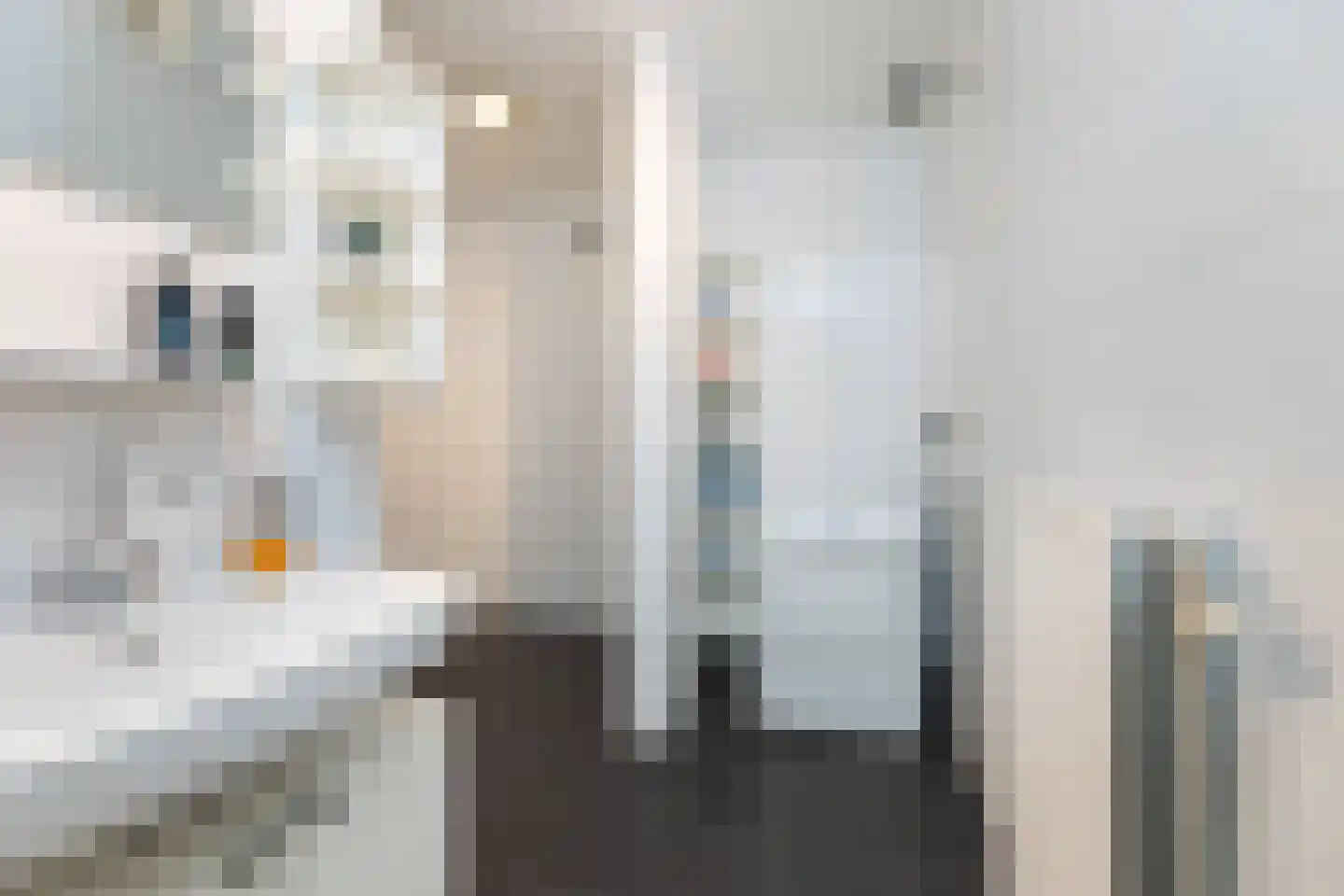 Kloosterstraat 2 Kampen thumbnail 25