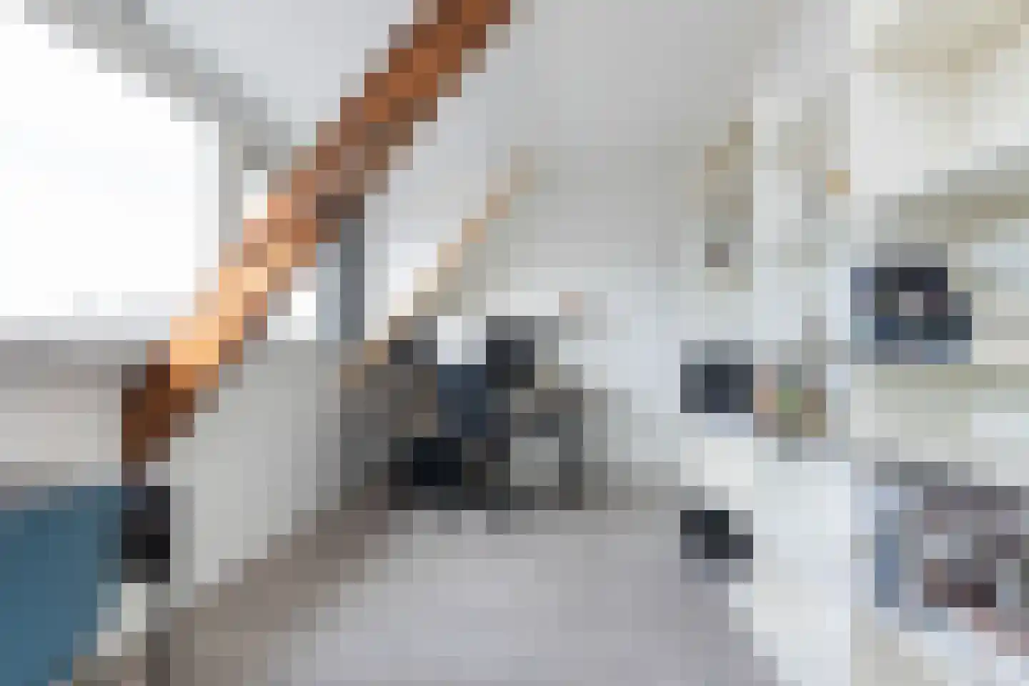 Kloosterstraat 2 Kampen thumbnail 42