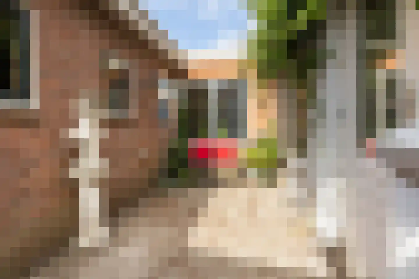 Kloosterstraat 2 Kampen thumbnail 45