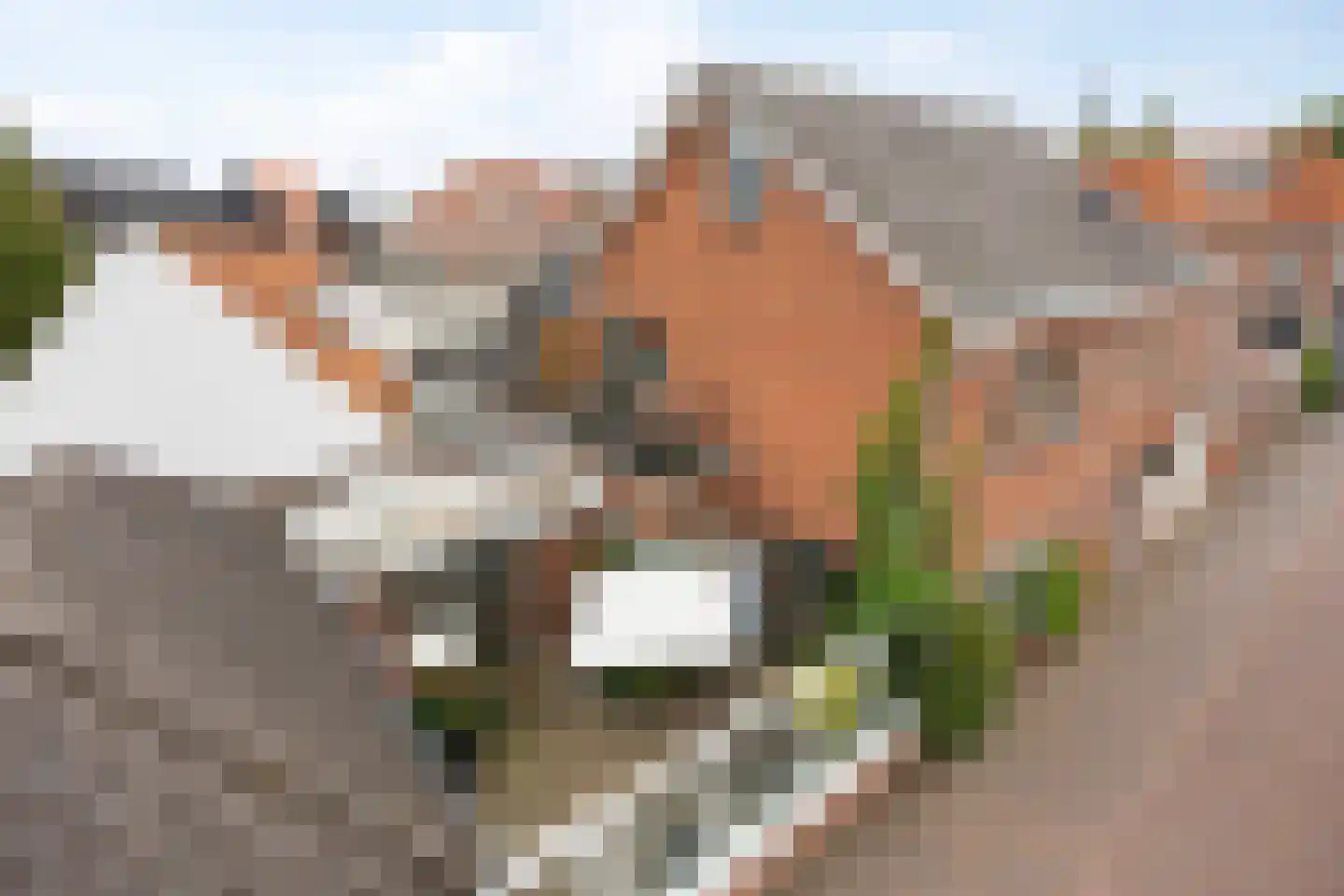 Kloosterstraat 2 Losser thumbnail 38
