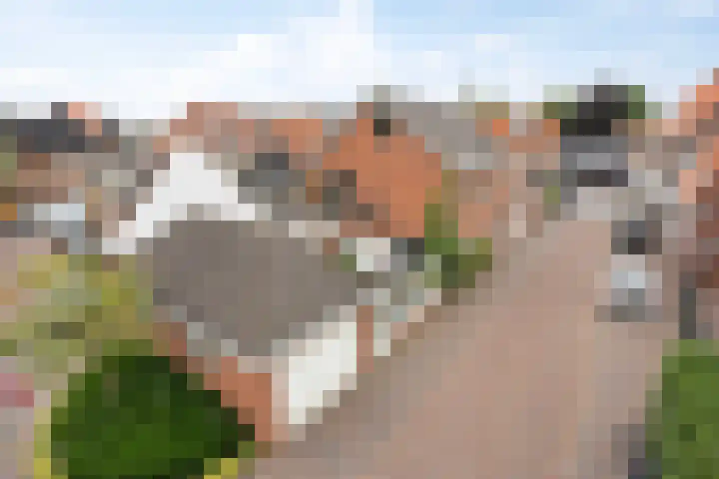 Kloosterstraat 2 Losser thumbnail 4