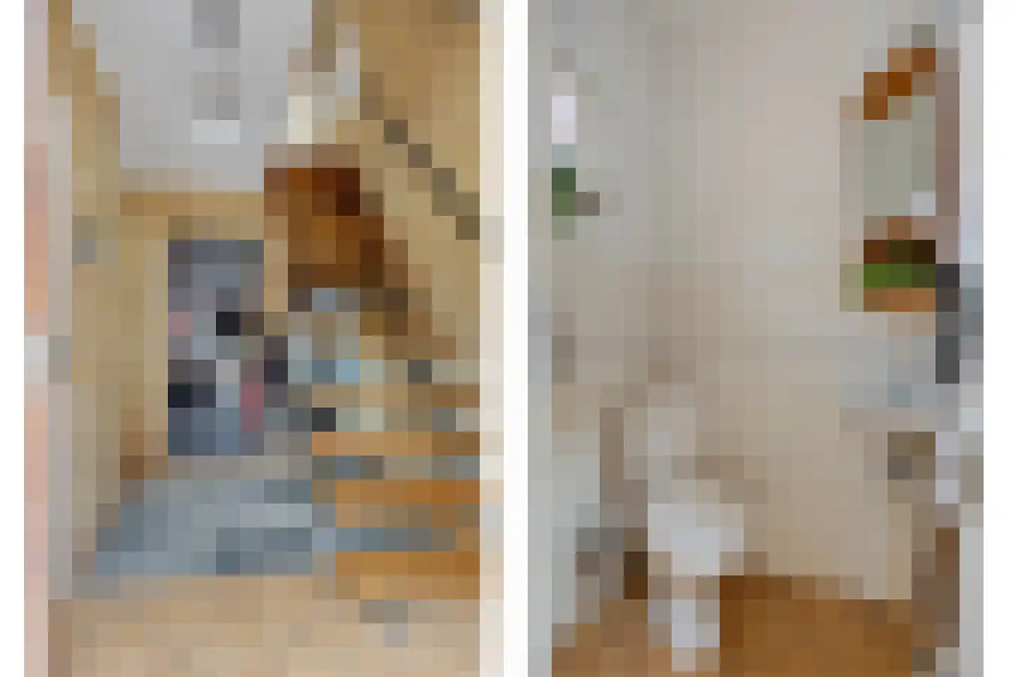 Kloosterstraat 2 Losser thumbnail 6