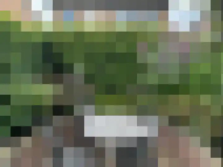Kloosterstraat 2 Wamel thumbnail 10