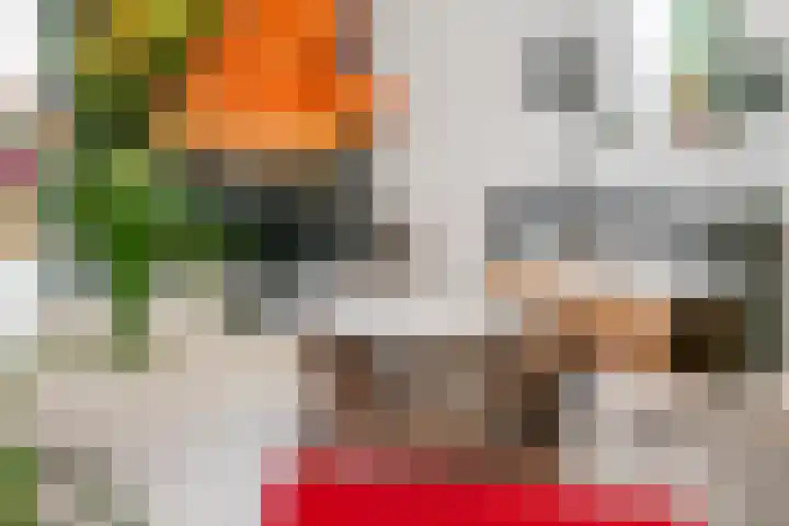 Kloosterstraat 2 Wamel thumbnail 17
