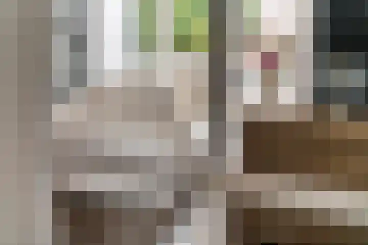 Kloosterstraat 2 Wamel thumbnail 18