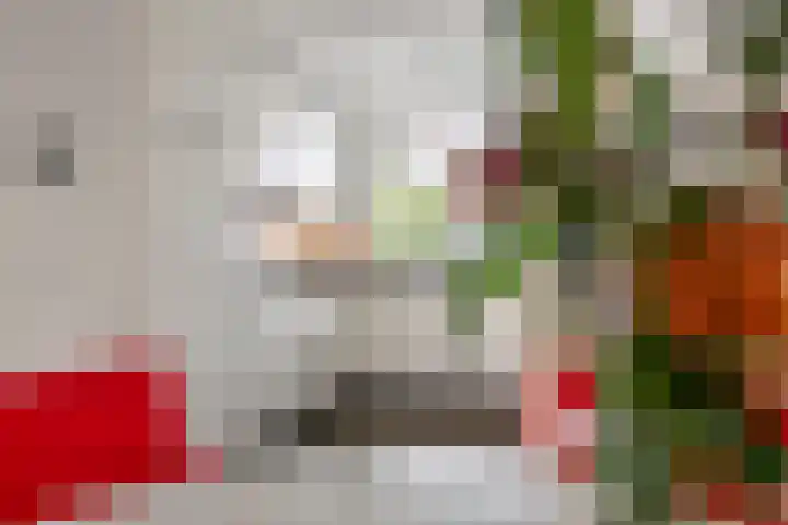 Kloosterstraat 2 Wamel thumbnail 20