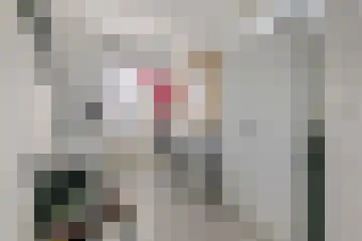 Kloosterstraat 2 Wamel thumbnail 30