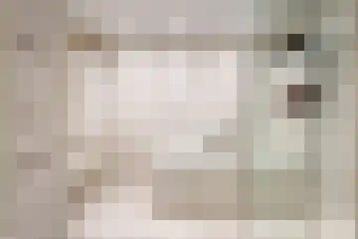 Kloosterstraat 2 Wamel thumbnail 32