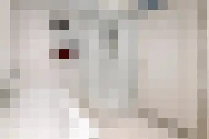 Kloosterstraat 2 Wamel thumbnail 34