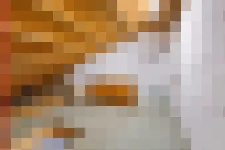 Kloosterstraat 2 Wamel thumbnail 40