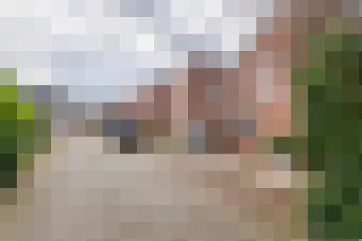 Kloosterstraat 2 Wamel thumbnail 42