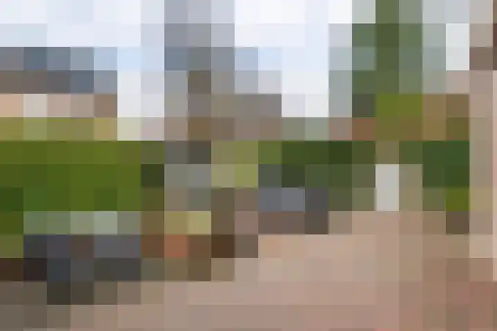 Kloosterstraat 2 Wamel thumbnail 5